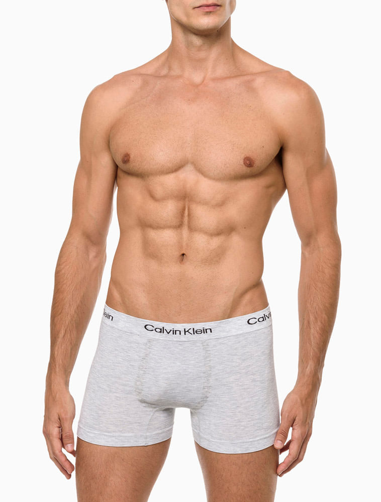 Kit 2 Cuecas Masculinas Seamless Viscose Calvin Klein Underwear - Chumbo/Cinza Claro