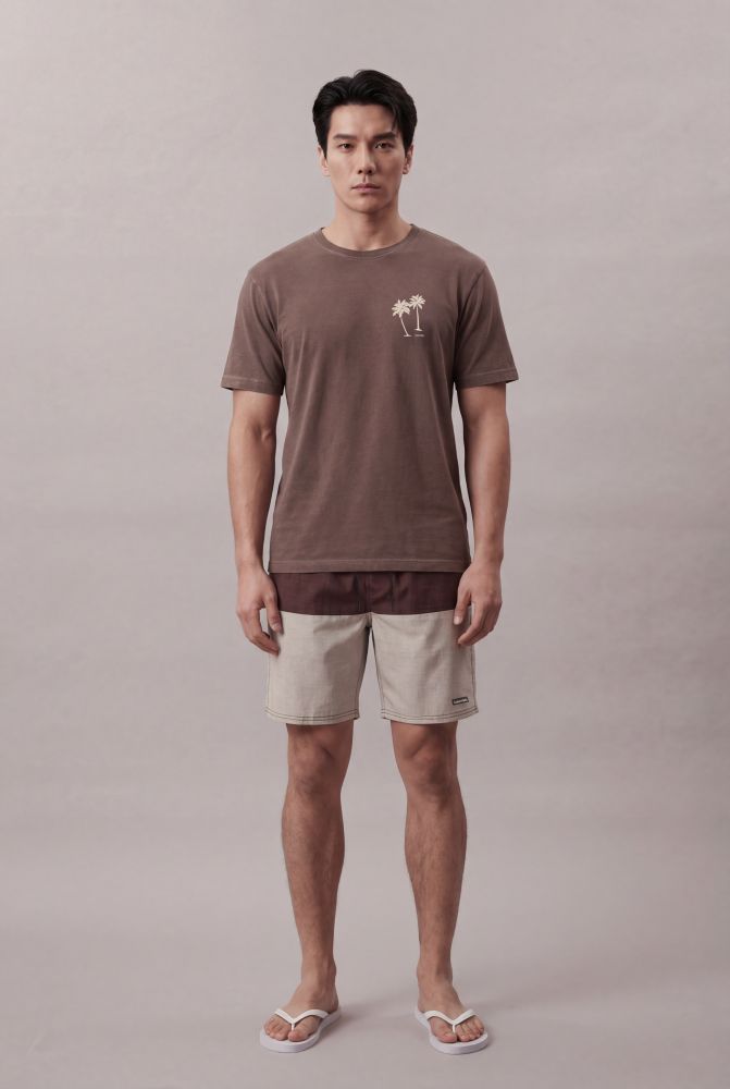 Shorts Swim Masculino Color Block - Marrom - Shorts Swim Masculino Color Block Marrom p