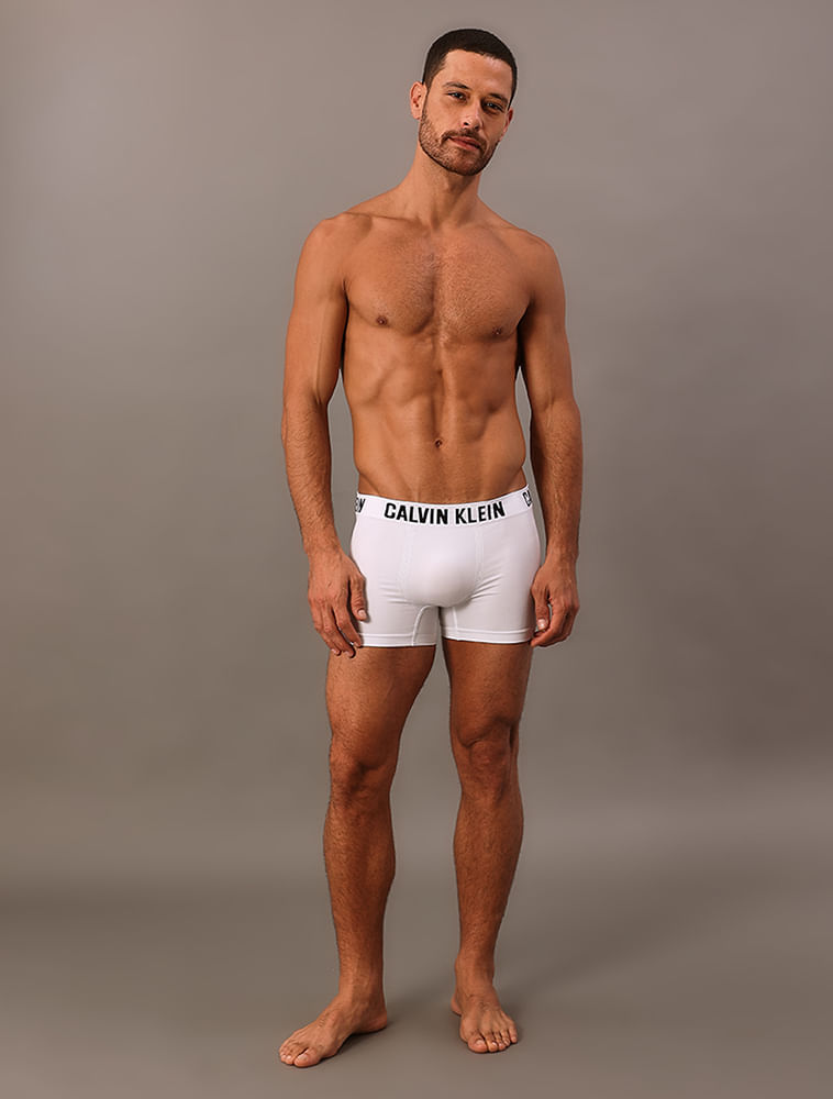 Kit 2 Underwear Trunk Seamless Sem Costura Cueca Calvin Klein - Multicolor
